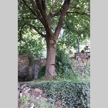 Eine Gemuetliche Ferienwohnung Mit Garten Bad Karlshafen Exterior photo