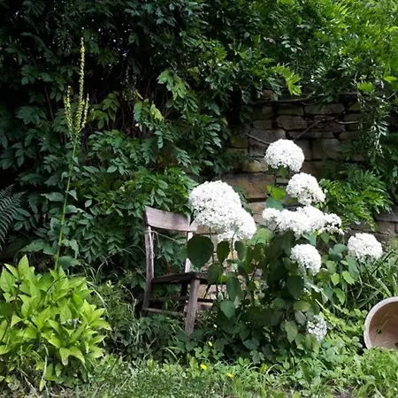 Eine Gemuetliche Ferienwohnung Mit Garten Bad Karlshafen Exterior photo