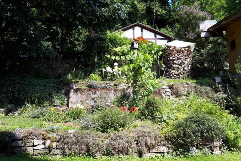 Eine Gemütliche Mit Garten