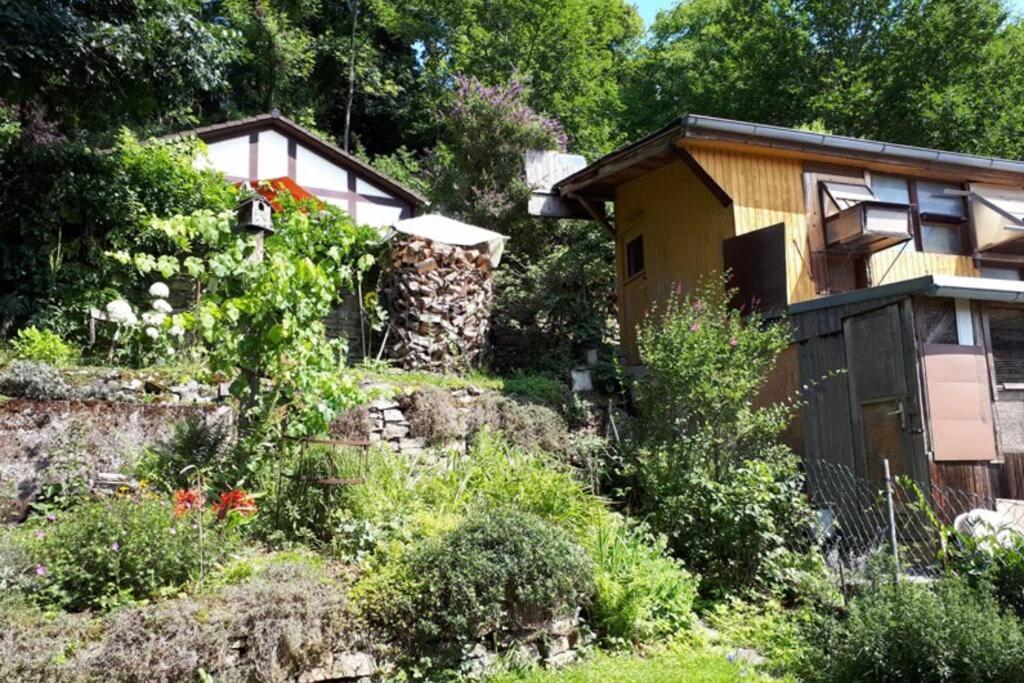Eine Gemütliche Mit Garten Apartment *