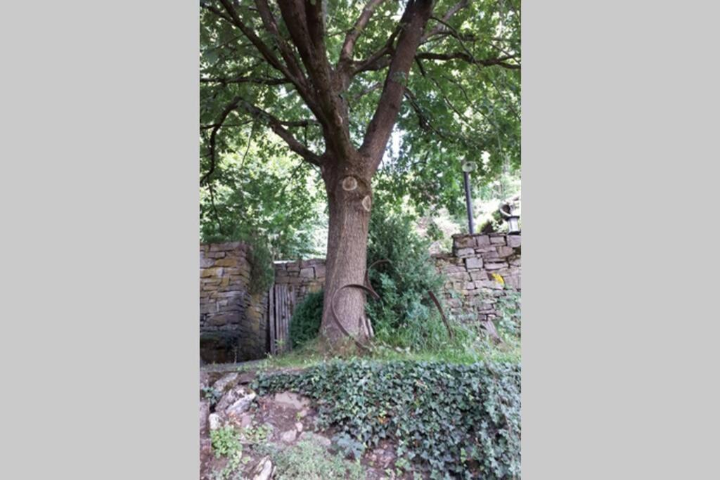 Eine Gemütliche Mit Garten Apartment Bad Karlshafen