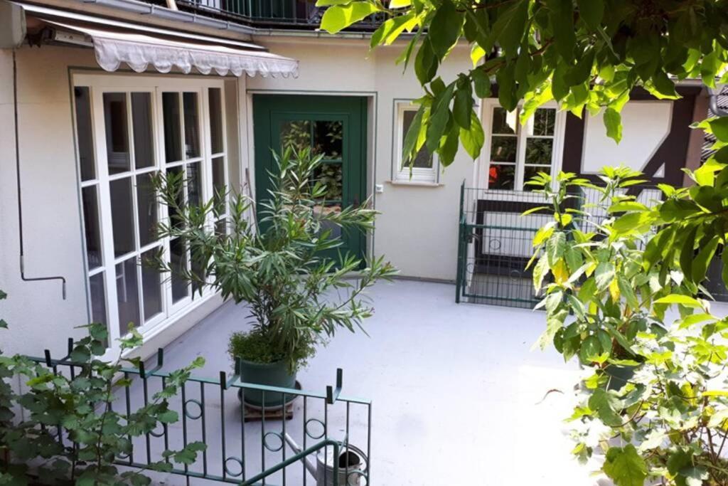 Apartment Eine Gemütliche Mit Garten